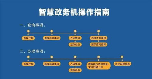 海南25项社保医保业务可自助办理 操作指南与详解